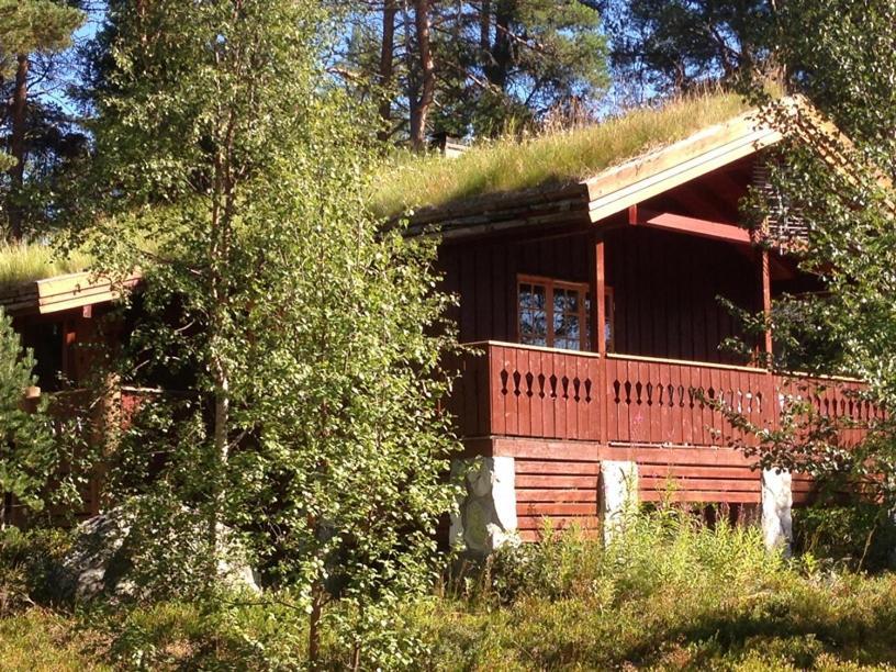 Batsto Camping Elga Exterior foto